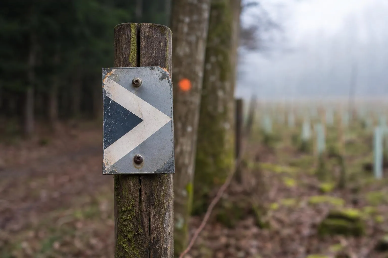 Panneau émaillé de limite de propriété forestière fixé sur un poteau de châtaignier en lisière de parcelle